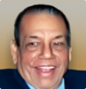 Mr. N L Hamirwasia