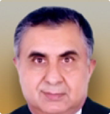 Mr. Deepak Mullick
